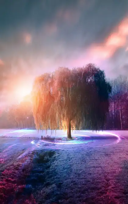 Mensajes Tarot ✉️