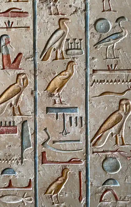 Vidas Pasadas 🕰️